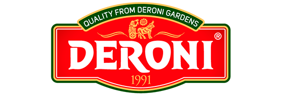 logo-deroni