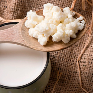 kefir-ruso