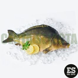 CARPA CONGELADO, 1.6kg