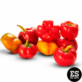 PIMIENTO KAMBI 1kg PIMIENTO KAMBI 1kg